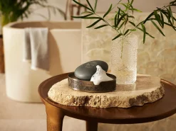 Body Scrub Bar