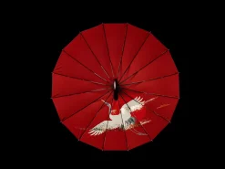 Double-layer Umbrella
