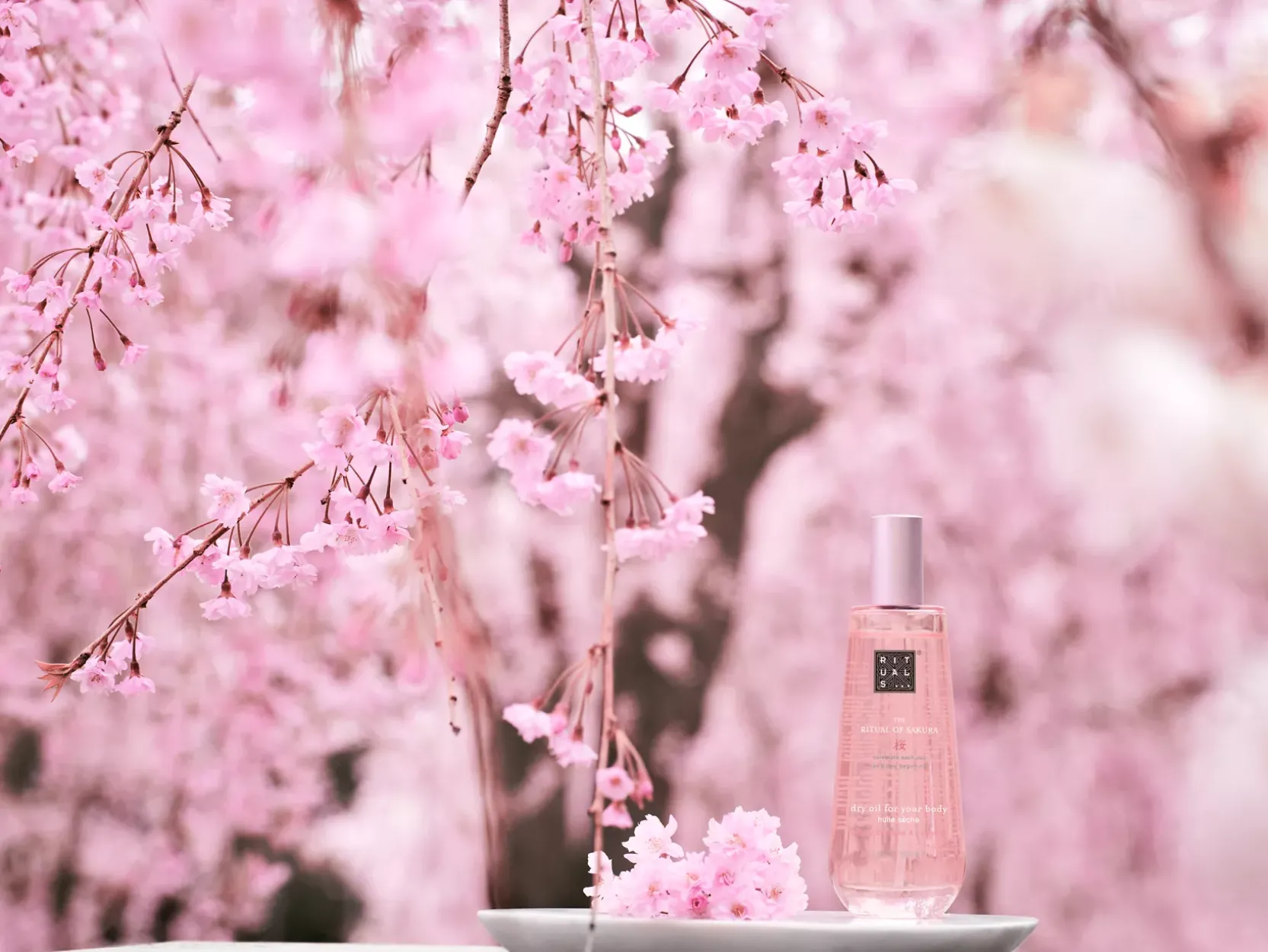 Dry Body Oil