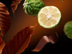 Eau de Parfum Oudh