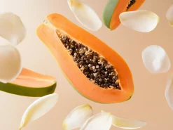 Enzyme Cleansing Powder