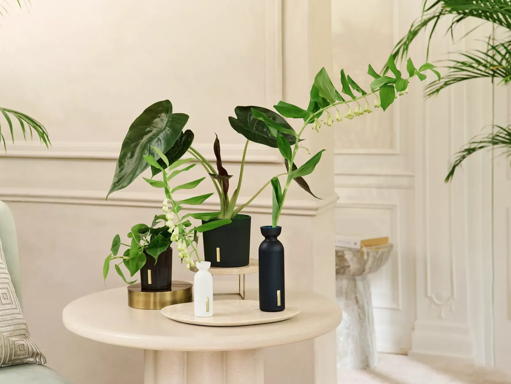 Fragrance Sticks