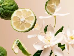 Positivity Refill Fragrance Sticks