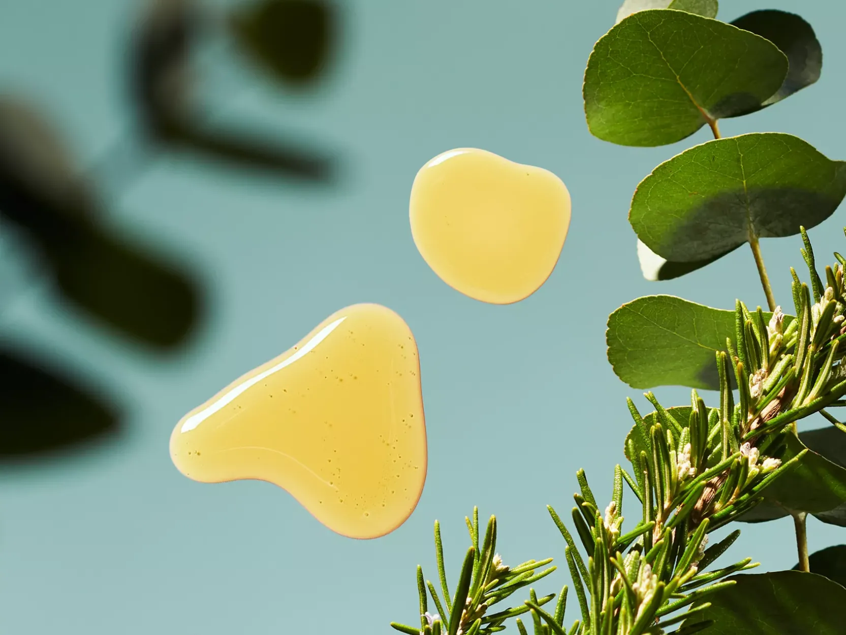 Refill Fragrance Sticks