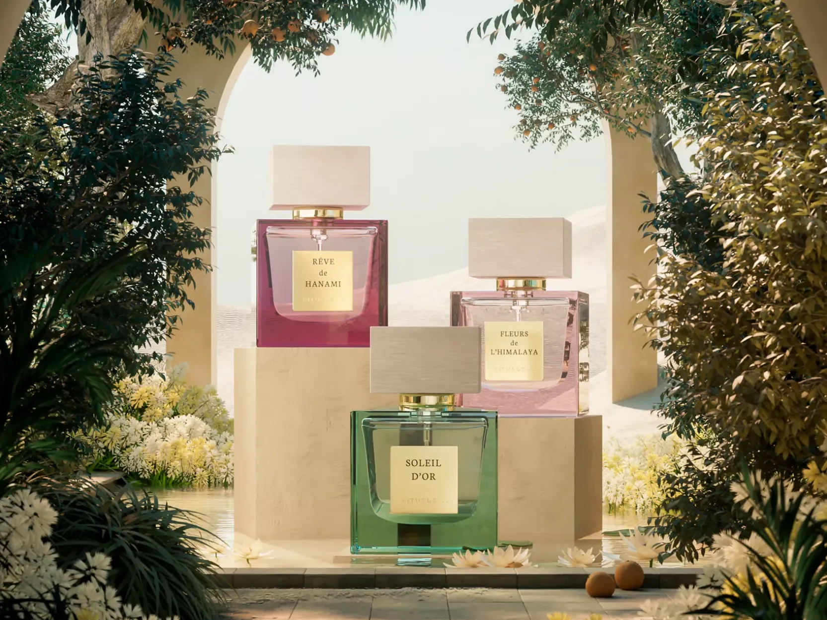 Rêve de Hanami