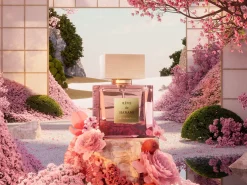 Rêve de Hanami