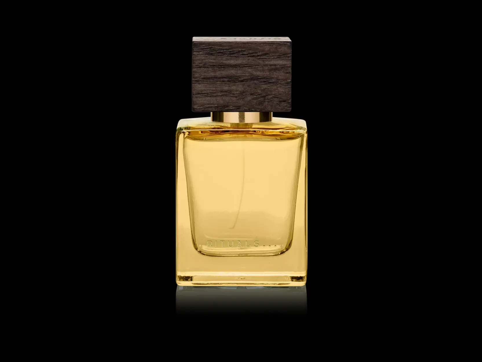 Travel - Maharaja d’Or