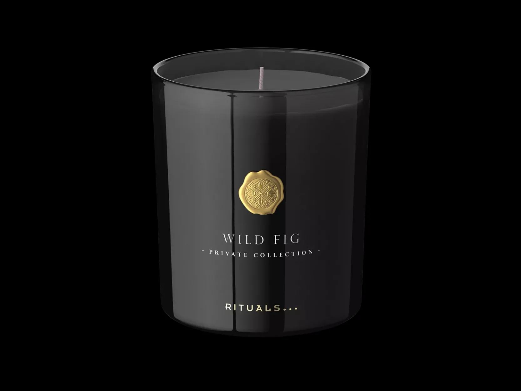 Wild Fig Scented Candle